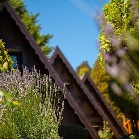 Cabanas Antilhue San Martín de los Andes Exterior foto